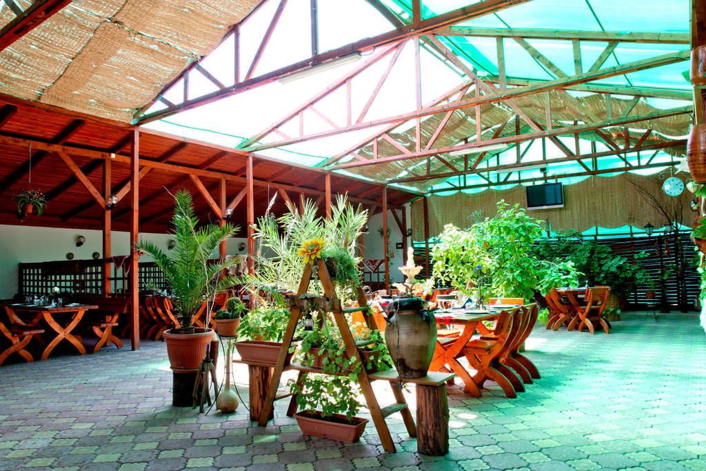 Denisa Hotel Otopeni Extérieur photo