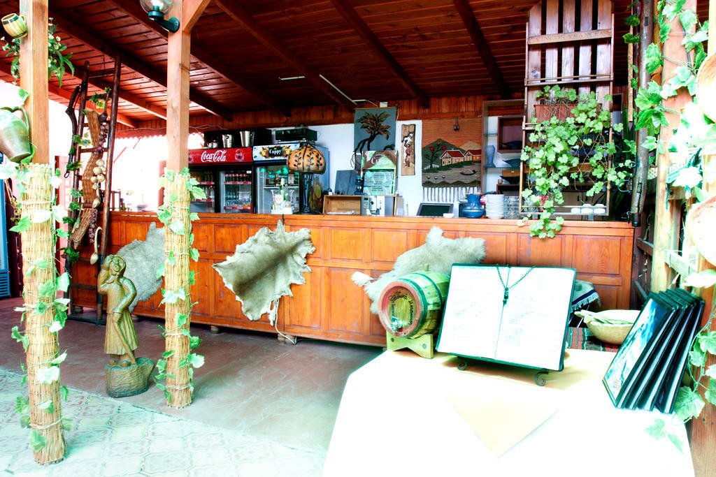 Denisa Hotel Otopeni Extérieur photo